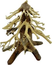 Bonsai Driftwood 12 x 11 x 13 cm No.64