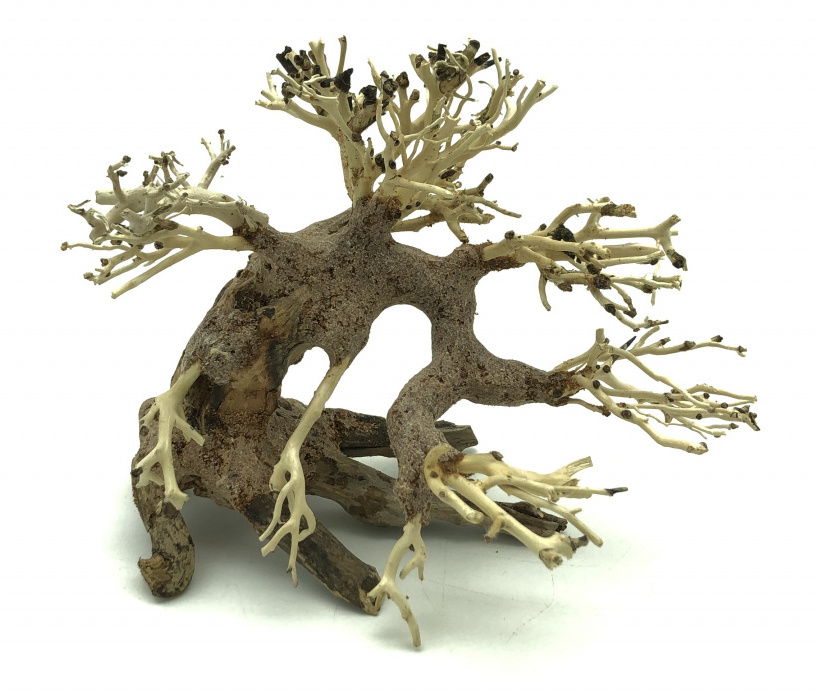 Bonsai Driftwood 15 x 10 x 14 cm No.7