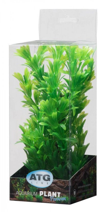 ATG Premium rostlina Malá (18-25cm) 316