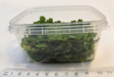 Salvinia auriculata  - box