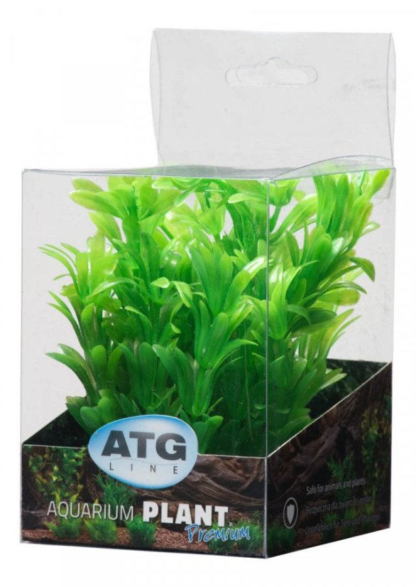 ATG Premium rostlina Mini (8-14cm) 216