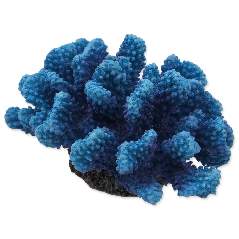Dekorace Aqua Excellent Mořský Korál modrý 14,5x10,5x7,4cm Dekorace Aqua Excellent Mořský Korál modrý 14,5x10,5x7,4cm