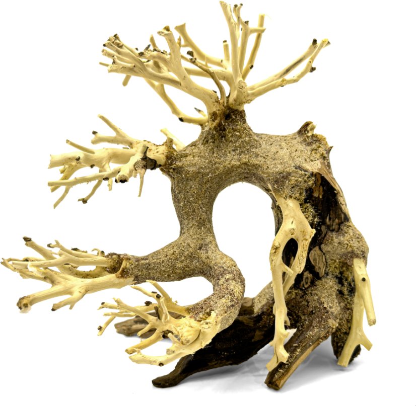 Bonsai Driftwood 15 x 10 x 14 cm No.3
