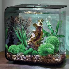 Oase biOrb dekorační sada Wood on Stone 30 l