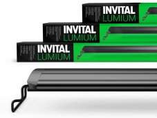 INVITAL Lumium WRGB30 25 cm 6W