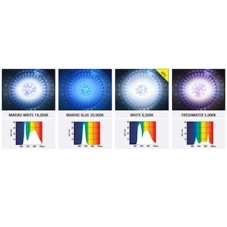 ARCADIA LED Osvětlení Spotlight Freshwater 30 W, 5000 K, Cree PE