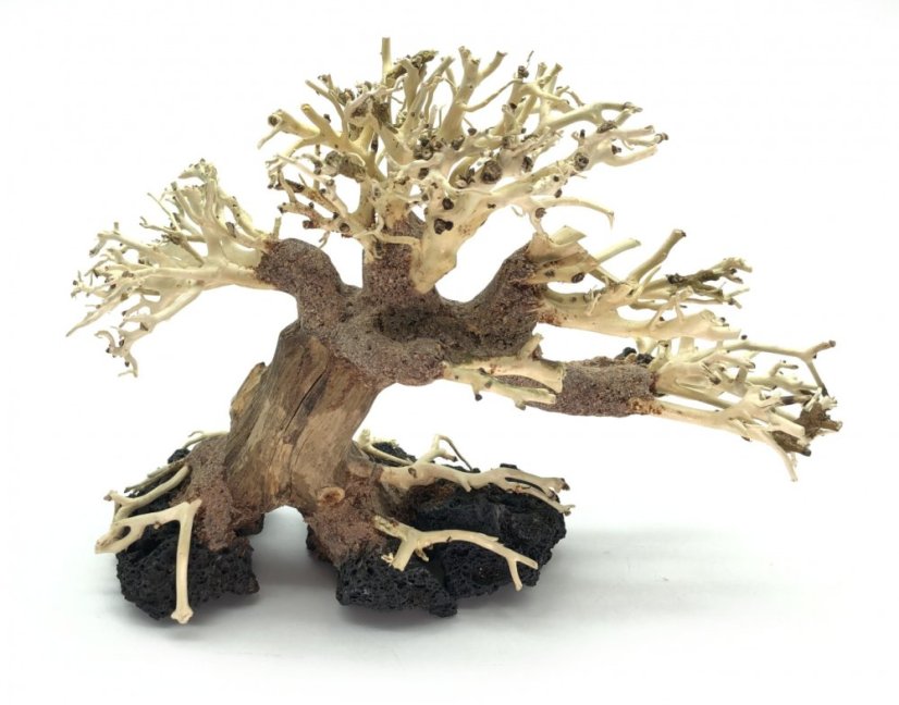 Bonsai Driftwood 20 x 15 x 16 cm No.28