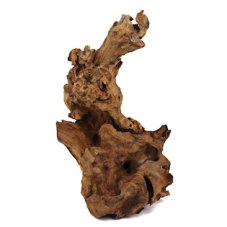 Kořen Barico, střední 20-30cm