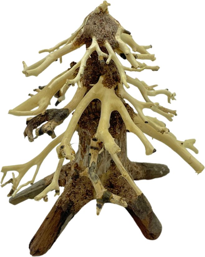 Bonsai Driftwood 12 x 11 x 13 cm No.64