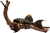 Krunýřovci