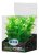ATG Premium rostlina Mini (8-14cm) 216