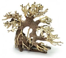 Bonsai Driftwood 20 x 15 x 17 cm No.82