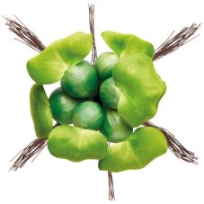 Pontec PondoHyacinth
