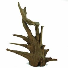 MC Kořen Corbo-Wurzel S, 30-40cm