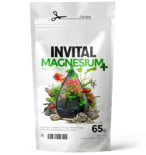 INVITAL MAGNESIUM PLUS 65 g