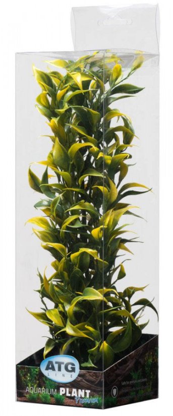 ATG Premium rostlina Střední (26-32cm) 404