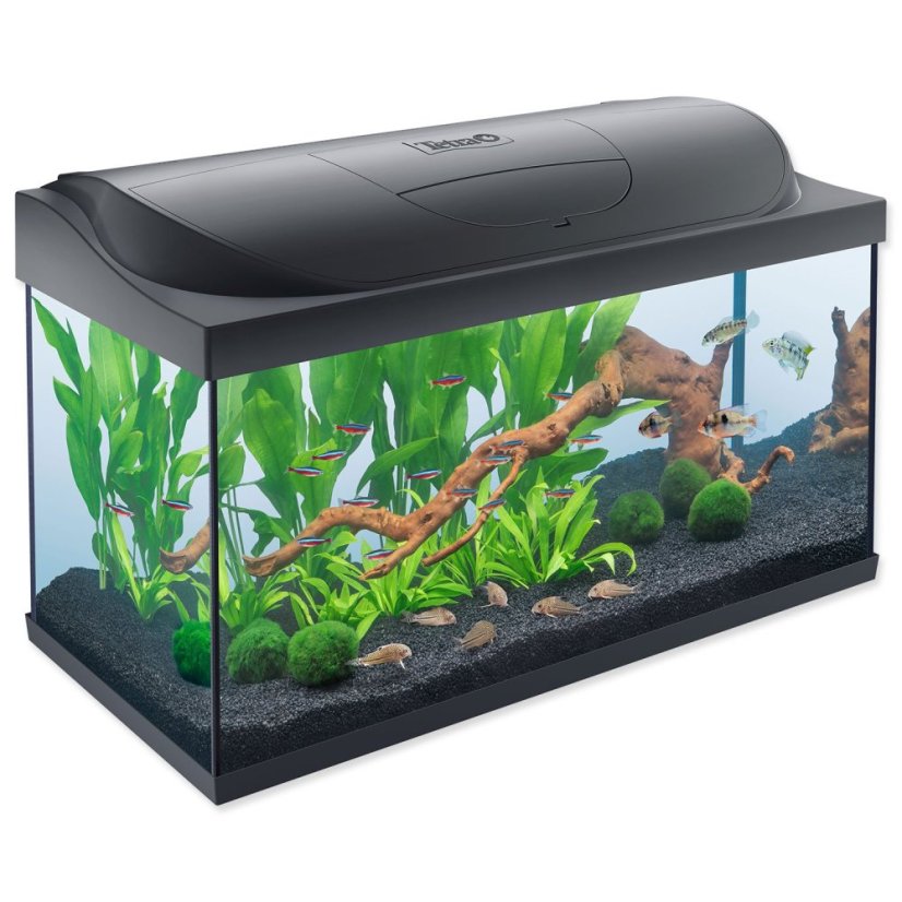 Akvarijní set Tetra Starter line LED 76x47x38cm 105l Akvarijní set Tetra Starter line LED 76x47x38cm 105l