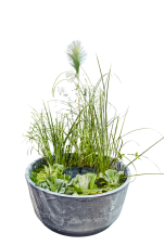 Heissner Aquatopia – solární mini jezírko, 46 × 21 cm, kamenný dekor 015211-09-SL