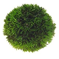 HOBBY Dekorace Plant Ball, 9 cm