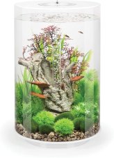 Oase biOrb TUBE 30 LED bílé