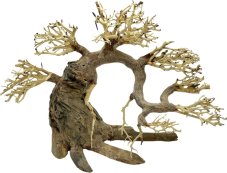Bonsai Driftwood 36 x 21 x 30 cm No.100