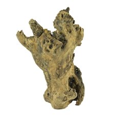 Kořen Barico, XL 40-60cm