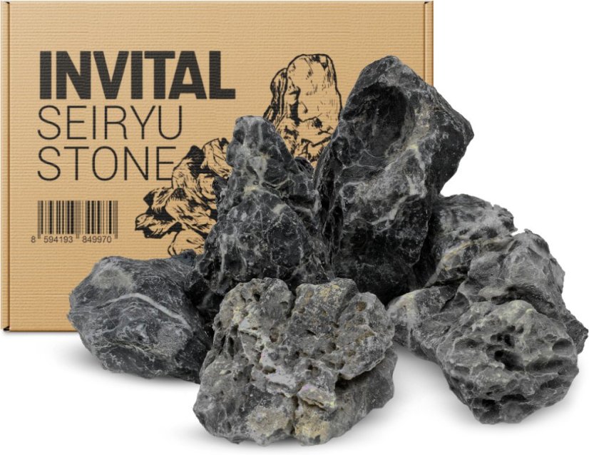 Dark Seiryu stone - úlomky
