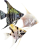 Skaláry