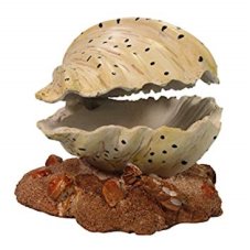 MC Dekorace Mušle 12 cm