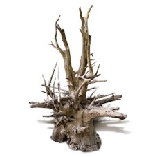 MC Corbo Wood (Č.: 81215)