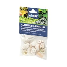HOBBY mušle Sea Shells Set M, 10ks v balení