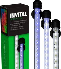 INVITAL DayNight LED 13,2W 58,5cm
