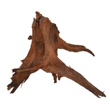 MC Kořen Amazonas Root XL 40-60 cm