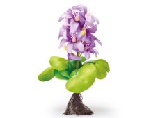 Pontec PondoHyacinth kvetoucí