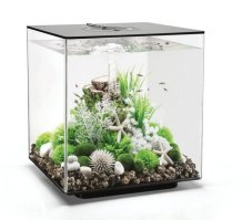 Oase biOrb CUBE 60 LED černé