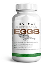 INVITAL ArtemiaEggs 95% artemie k líhnutí 50 g