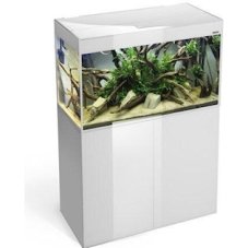 Aquael GLOSSY SET 80 WHITE LT 2x16W LED