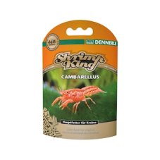 DENNERLE Shrimp King Cambarellus