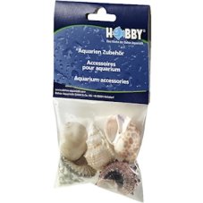 HOBBY Sea Shells Set L, 5ks v balení