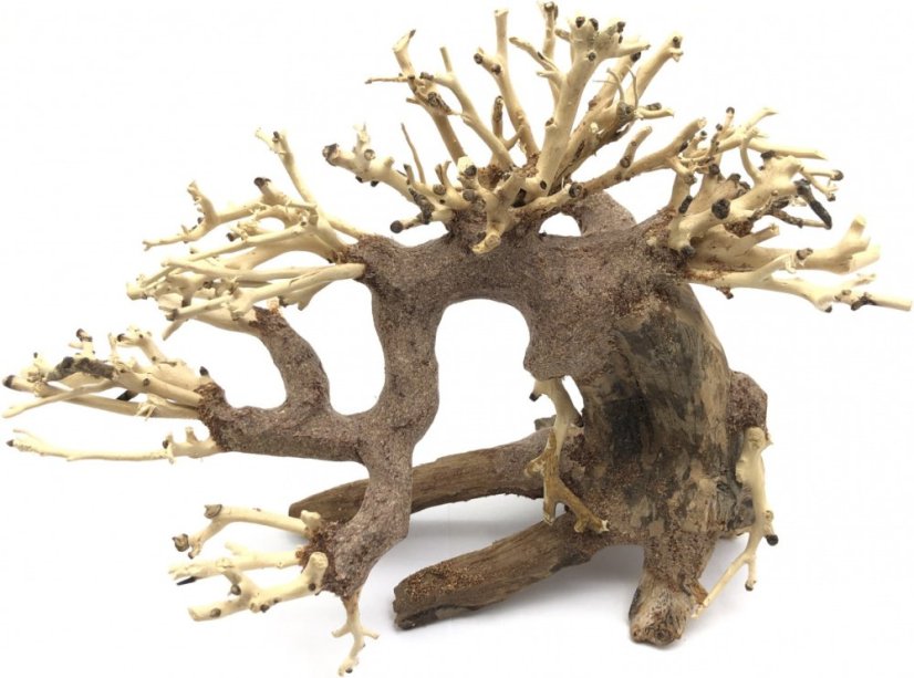 Bonsai Driftwood 20 x 10 x 15 cm No.3