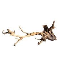 MC Kořen Talawa Wood L, 50-70 cm, 1 ks