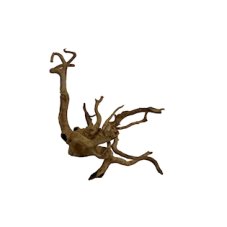 MC Kořen Finger Wood (Č.: 81225)