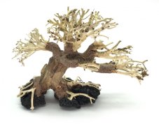 Bonsai Driftwood 20 x 15 x 16 cm No.28
