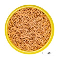 JBL Krmivo ProNovo Red Insect Stick S, 20 ml