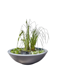 Heissner Lotusgarden - solární mini jezírko, 58 x 19 cm, antracit 015213-03-SL