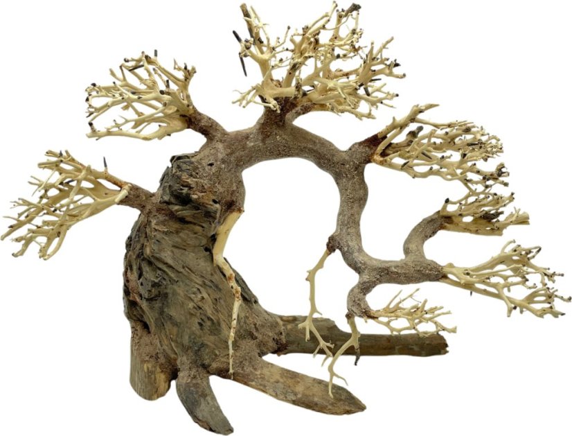 Bonsai Driftwood 36 x 21 x 30 cm No.100
