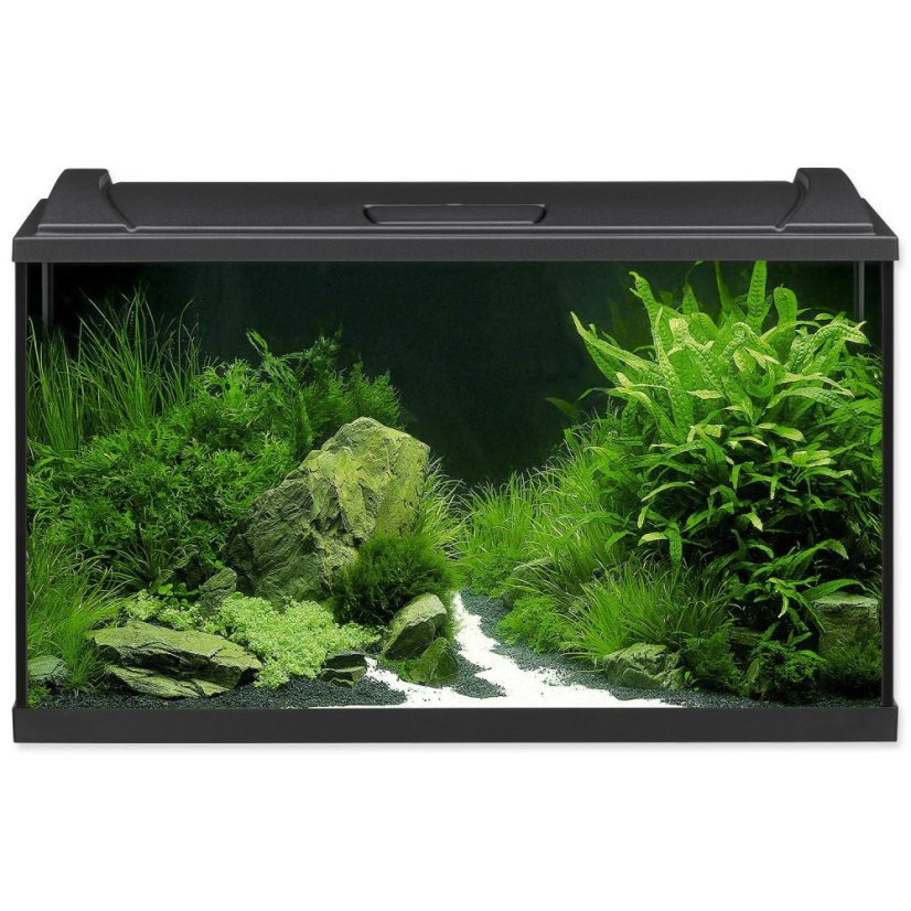 Akvarijní set Eheim Aquapro LED černý 80x35x45cm 126l Akvarijní set Eheim Aquapro LED černý 80x35x45cm 126l
