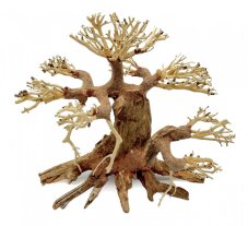 Bonsai Driftwood 30 x 19 x 28 cm No.100