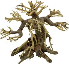 Bonsai Driftwood 25 x 13 x 22 cm No.82