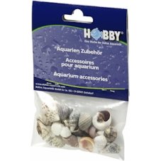 HOBBY mušle Sea Shells Set S, 20ks v balení